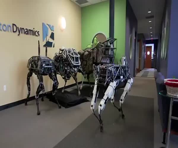 Четвероногие роботы от компании Boston Dynamics