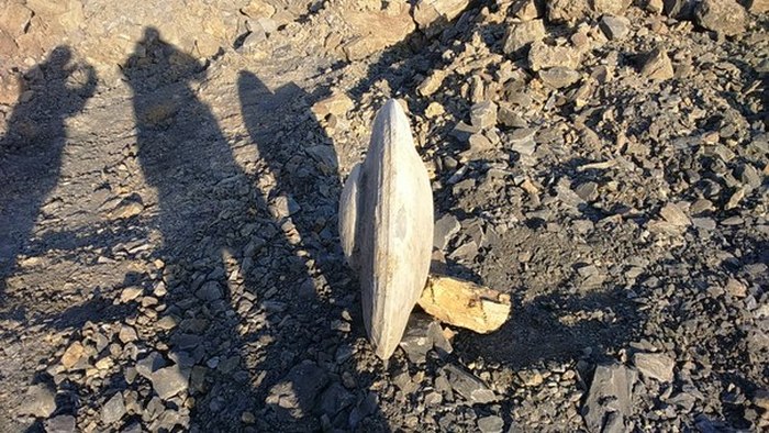 В Кемеровской области обнаружили древний каменный диск в форме летающей тарелки (7 фото)