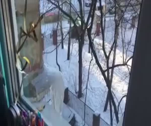 Находчивые сотрудники ЖКХ