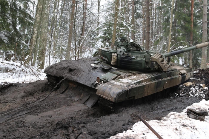 Приключения польских танкистов в лесу (27 фото)