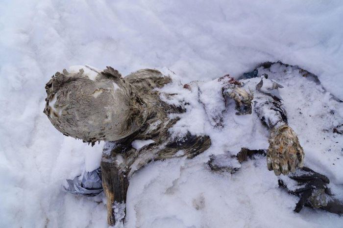 В Мексике обнаружены мумии альпинистов, пропавших без вести 55 лет назад (10 фото)