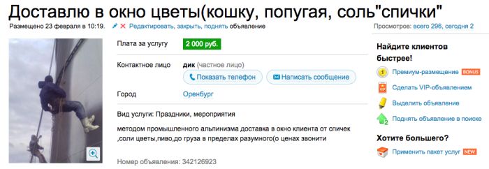 Аренда злой кошки, которая отобьет желание заводить домашнее животное (7 скриншотов) Аренда злой кошки, которая отобьет желание заводить домашнее животное (7 скриншотов)