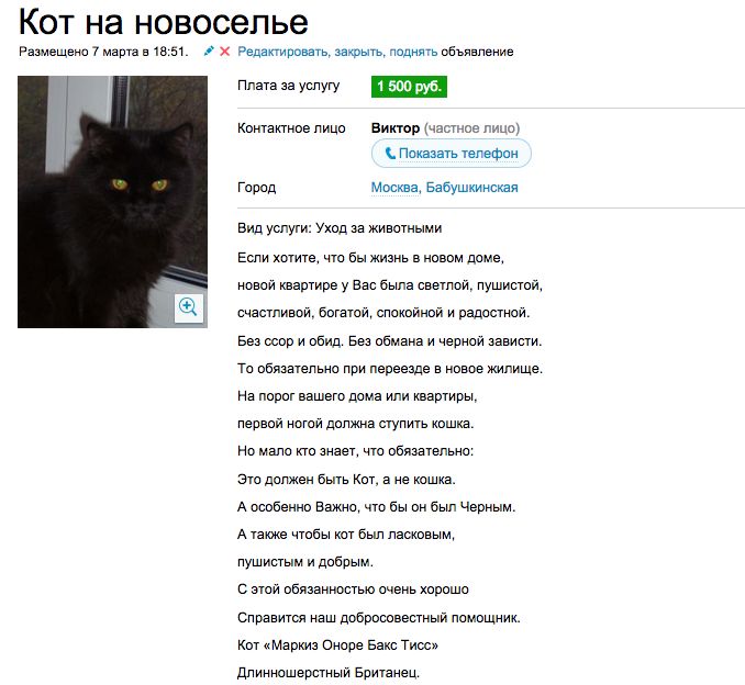 Аренда злой кошки, которая отобьет желание заводить домашнее животное (7 скриншотов) Аренда злой кошки, которая отобьет желание заводить домашнее животное (7 скриншотов)