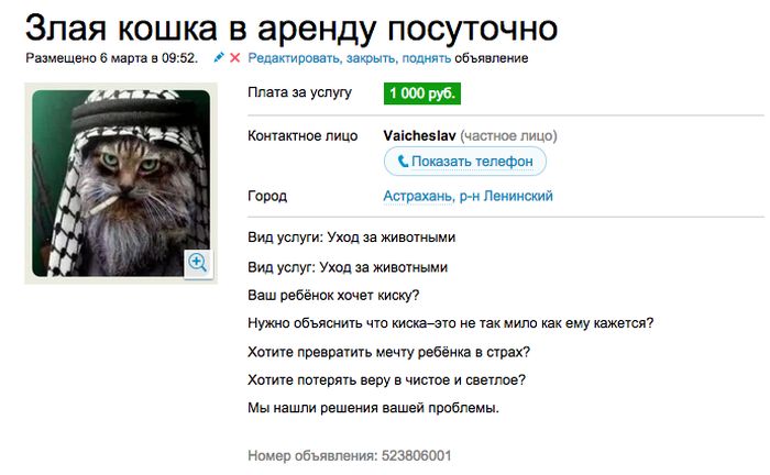 Аренда злой кошки, которая отобьет желание заводить домашнее животное (7 скриншотов) Аренда злой кошки, которая отобьет желание заводить домашнее животное (7 скриншотов)