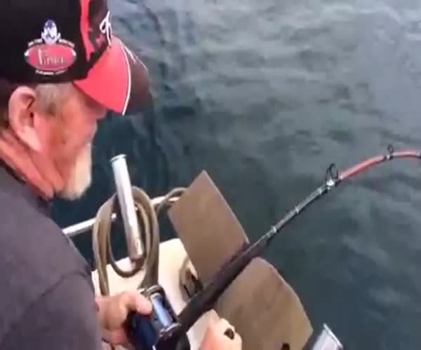 Акула крадет добычу рыбака