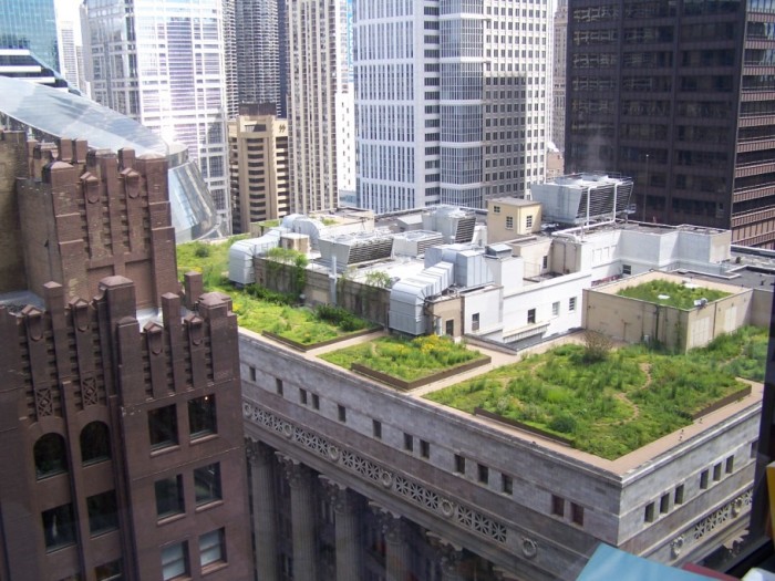 Во Франции владельцев недвижимости в коммерческой зоне обязали покрывать крыши растениями или солнечными панелями (4 фото)