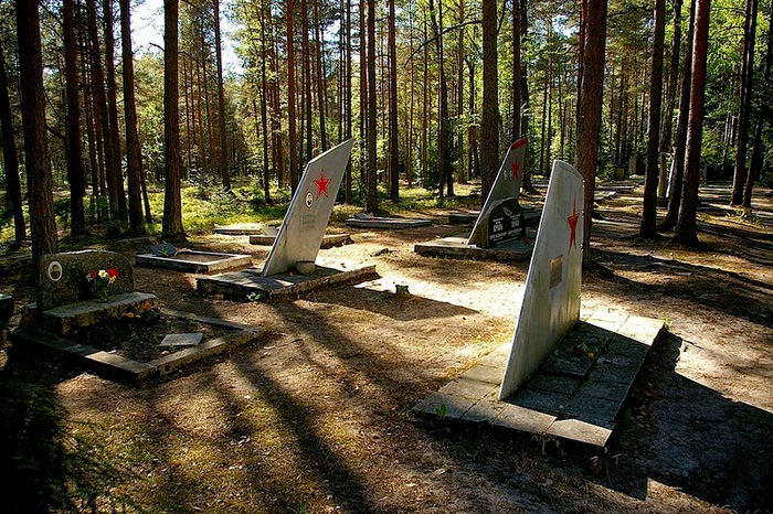 Уникальное кладбище советских военных летчиков в Эстонии (8 фото)