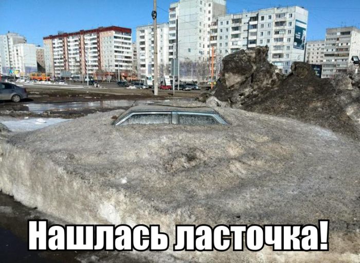 Автоприколы с просторов Рунета (40 фото)