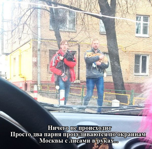 Прикольные картинки (104 фото)