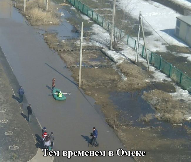 Прикольные картинки (104 фото)
