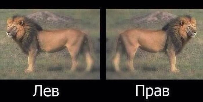 Прикольные картинки (104 фото)