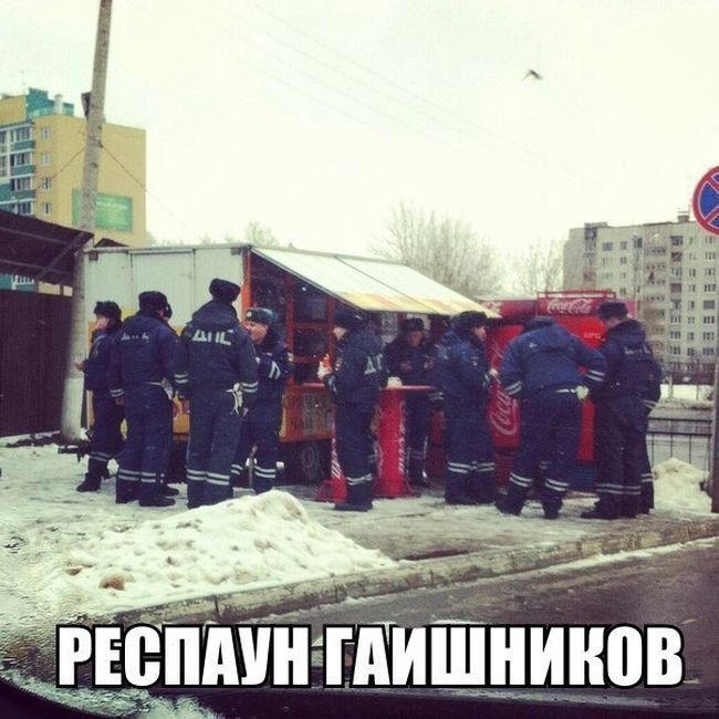 Прикольные картинки (104 фото)