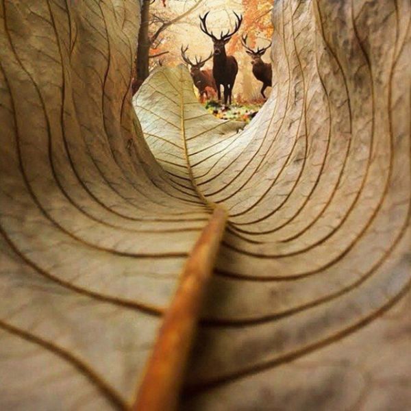 Прикольные картинки (104 фото)