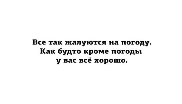 Прикольные картинки (104 фото)