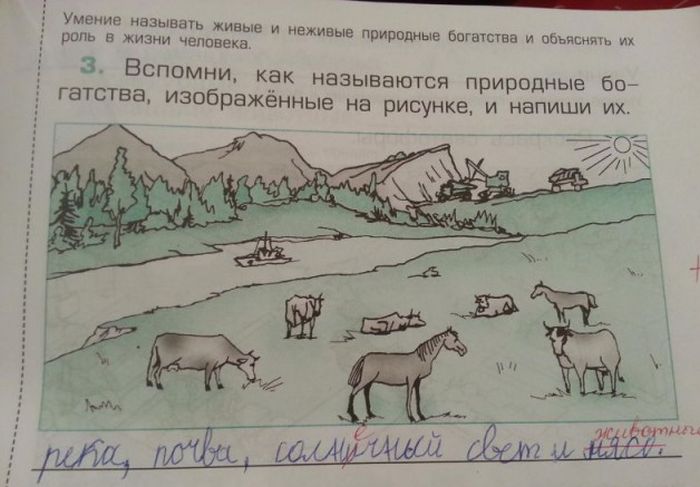 Прикольные картинки (104 фото)