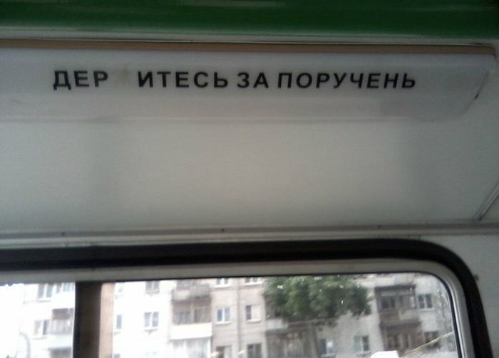 Прикольные картинки (104 фото)