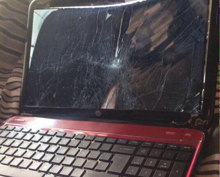 Известный порносайт вышлет своему пользователю новый ноутбук, взамен старого, который он разбил, опасаясь, что мать застанет его за просмотром порно (2 фото)