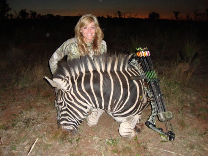 Зоозащитники со всего мира осудили американку Ребекку Фрэнсис, убившую жирафа (14 фото)