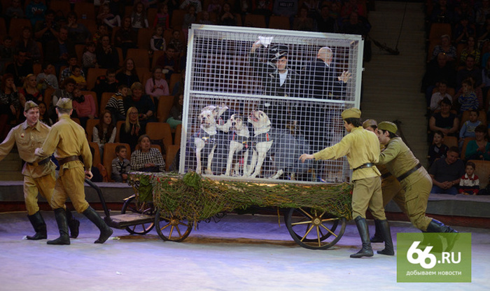 Цирк Екатеринбурга представил праздничную программу «Салют победы» (11 фото)