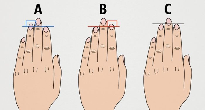 Что может сказать длина пальцев о характере человека (3 фото)