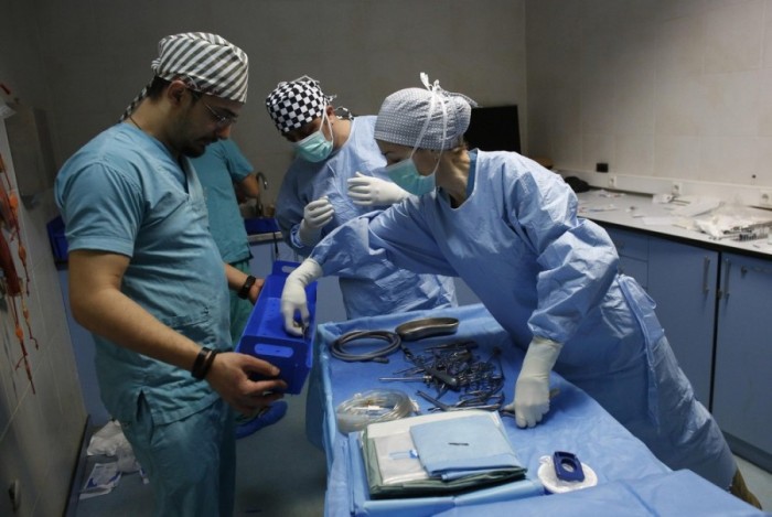 Лечение скакунов в клинике стамбульского ипподрома Велиефенди (25 фото)