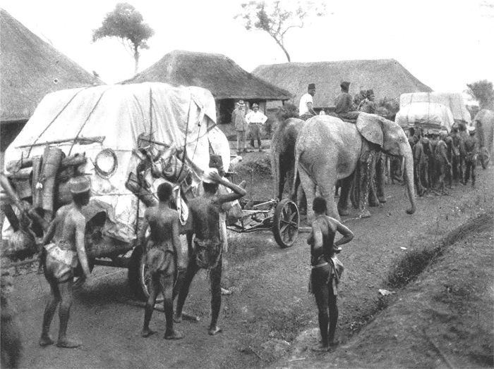 Каучуковый геноцид коренного населения Конго (11 фото)