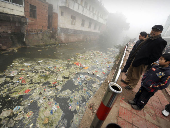 К чему приводит загрязнение окружающей среды (30 фото)