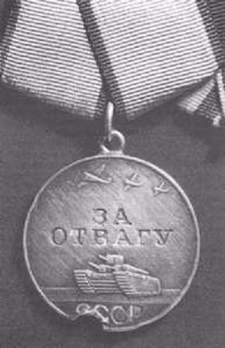 Медали и ордена героев (16 фото)