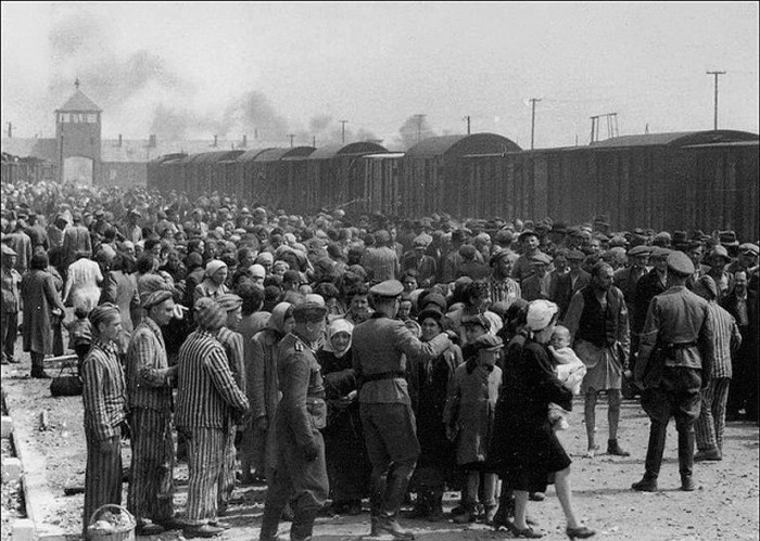 Воспоминания узников Освенцима (14 фото)