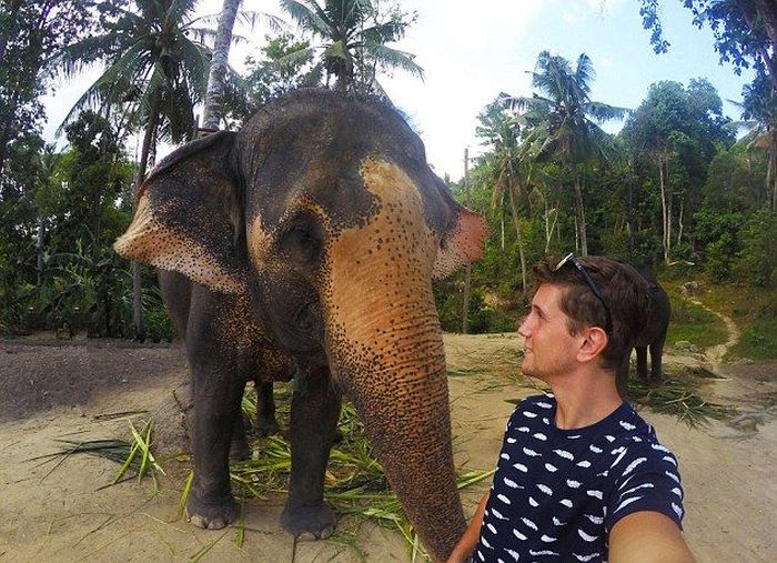 В Таиланде слон сделал селфи на экшн-камеру туриста (4 фото)