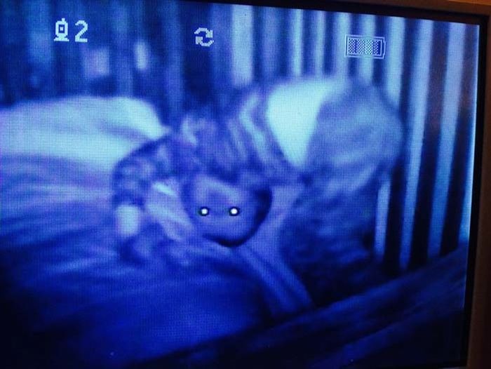 Жуткие кадры видеокамер из детских комнат (13 фото)
