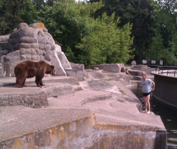 В варшавском зоопарке пьяный мужик залез в вольер к медведице (3 фото)