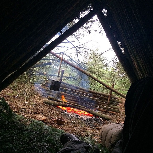 Уютный шалаш в лесу (10 фото)
