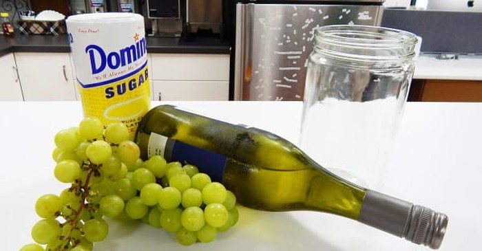 «Пьяный виноград» - отличное угощение для пятничного отдыха (13 фото)