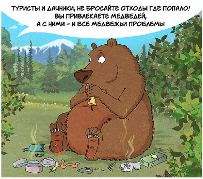 Правила поведения при встрече с медведем (10 картинок)
