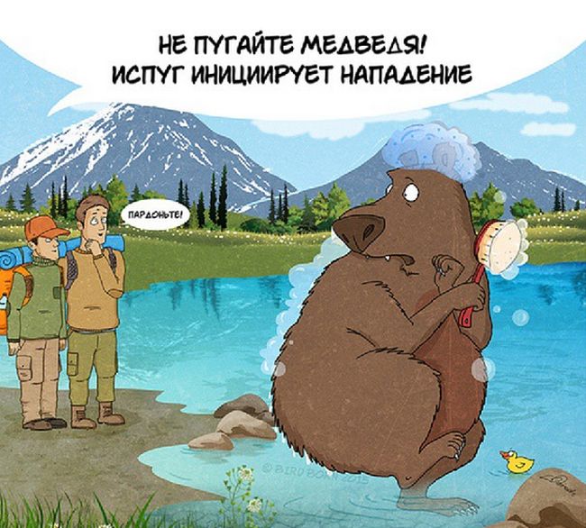 Правила поведения при встрече с медведем (10 картинок)