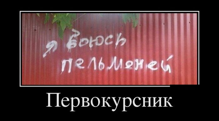 Демотиваторы (30 фото)