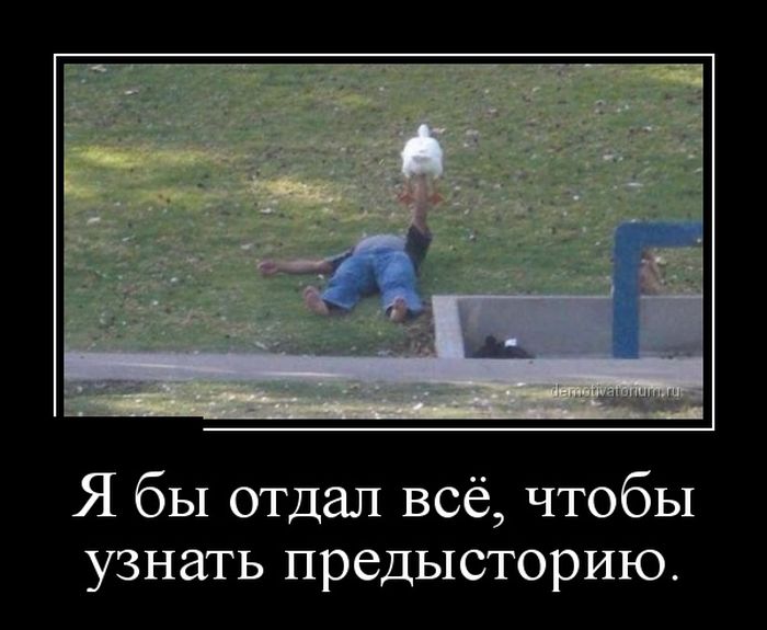 Демотиваторы (30 фото)