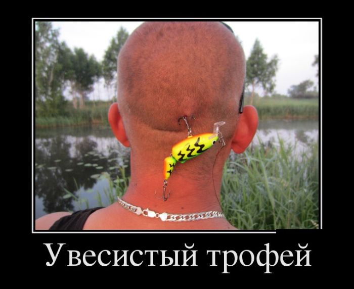 Демотиваторы (30 фото)