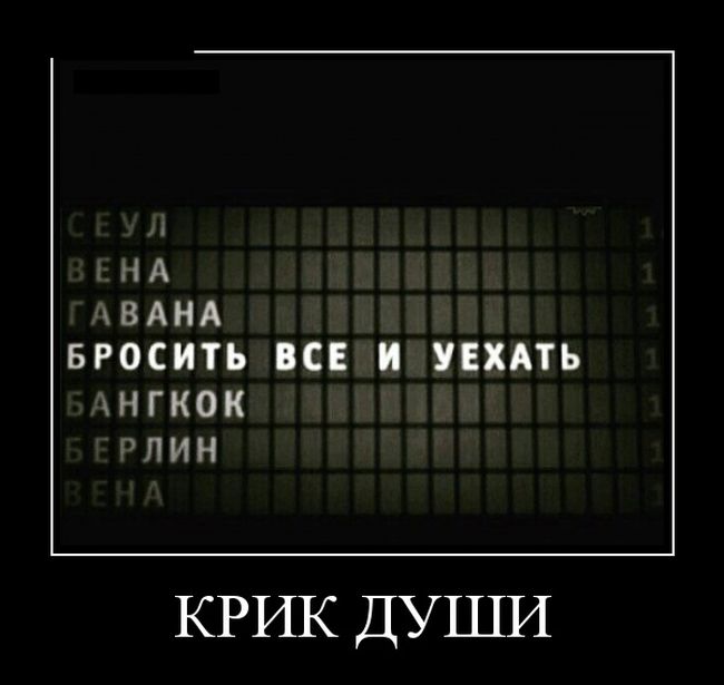 Демотиваторы (30 фото)
