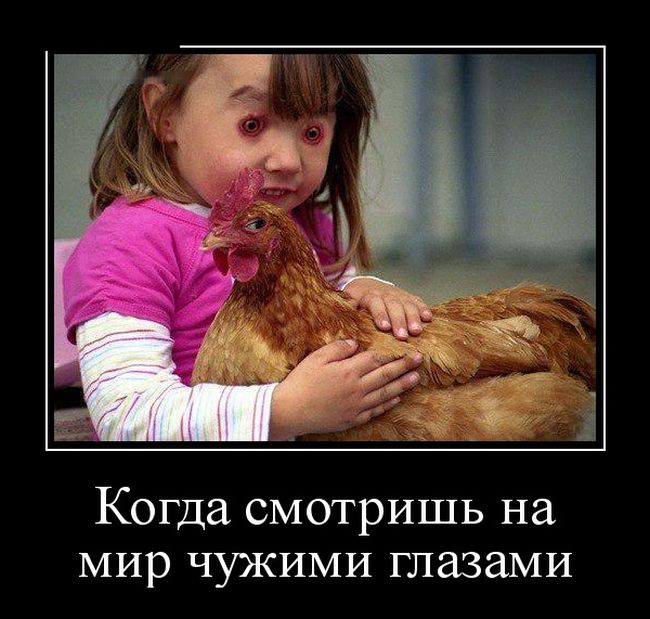 Демотиваторы (30 фото)