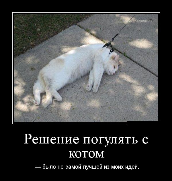 Демотиваторы (30 фото)