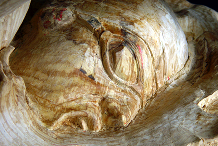 Оригинальная скульптура из дерева (16 фото)