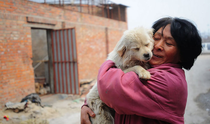 Пожилая китаянка спасла 100 собак, которых должны были съесть (16 фото)