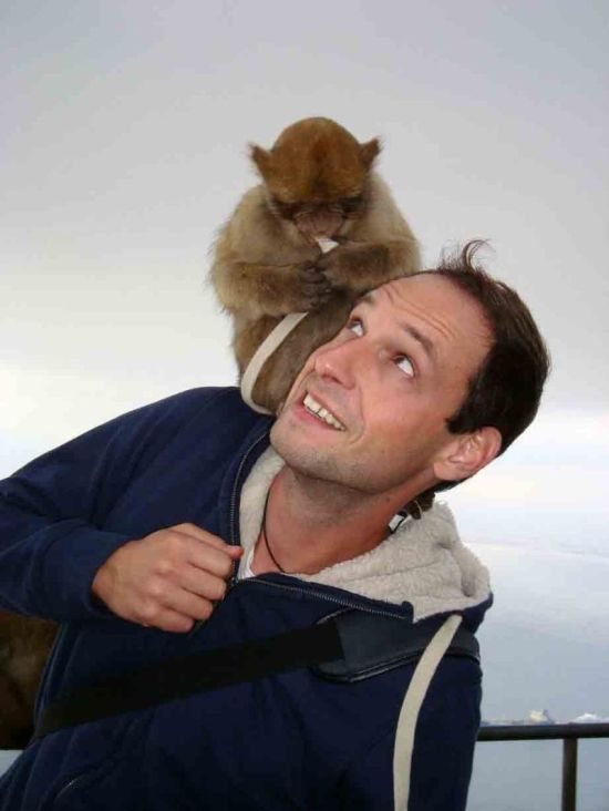 Что бывает, когда миленькая обезьянка не настроена на совместный фотосет (3 фото)