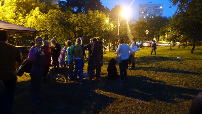 В московском парке «Торфянка» идет противостояние между сторонниками и противниками строительства храма (39 фото)