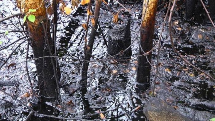 В Нижневартовске обнаружены разливы нефти (9 фото)