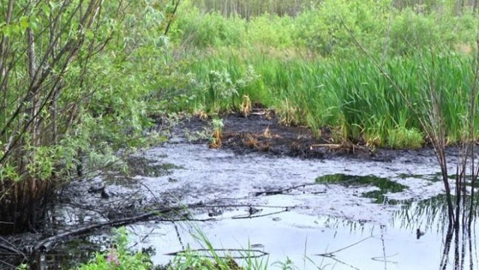 В Нижневартовске обнаружены разливы нефти (9 фото)