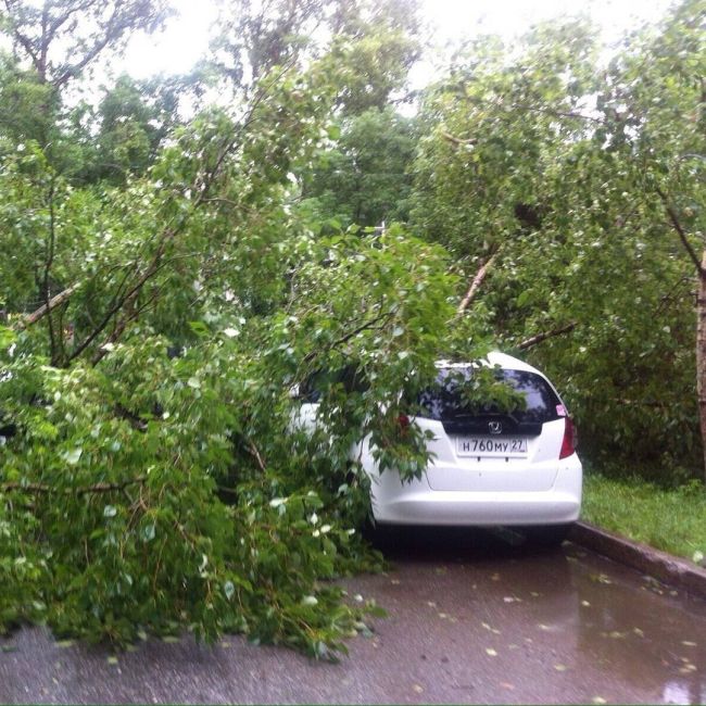 Хабаровск пострадал от мощного циклона, принесшего ураган (20 фото)