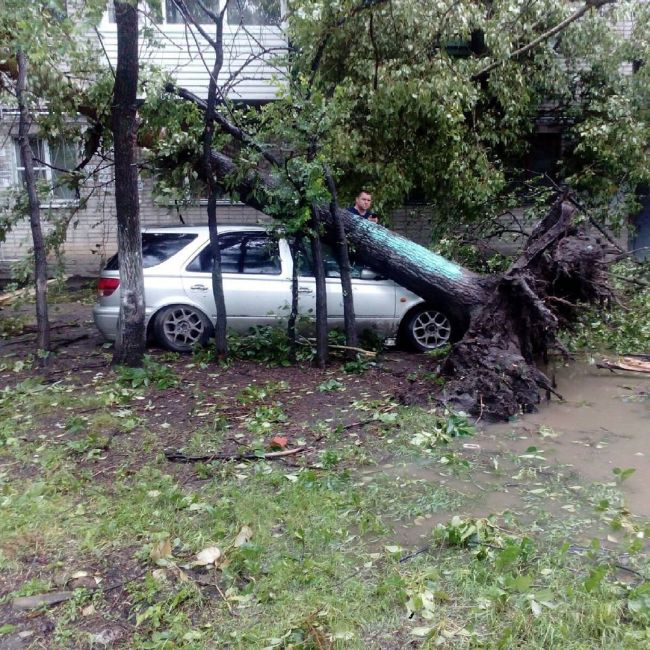 Хабаровск пострадал от мощного циклона, принесшего ураган (20 фото)